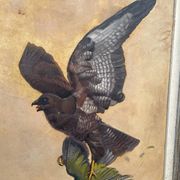 Table of a Harrier and Jay Oil on parchment