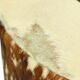Round Vintage Pouf Cowhide Leather Sixties 47cm