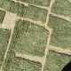 Magnificent new Beni ouarain water green carpet 200x300 cm