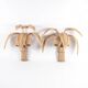 Paire d’appliques « cocotier/palmier » en rotin