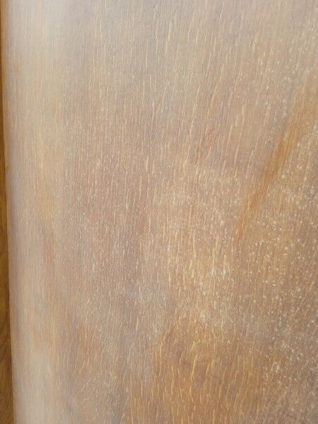 Pair of sliding doors from the 50s