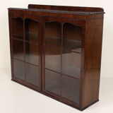 Astragalus showcase mahogany