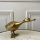 Brass animal large duck 1950s