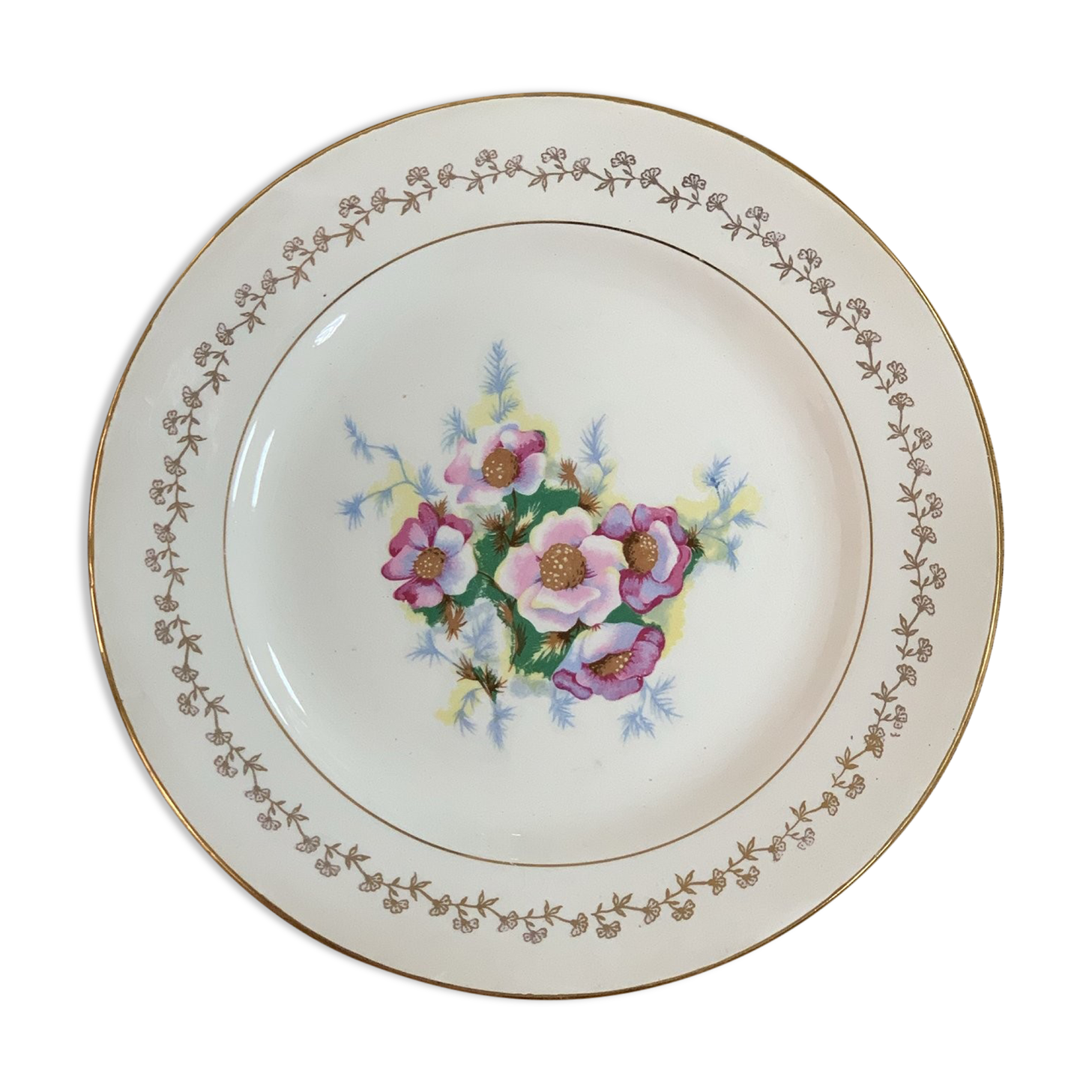 Digoin Sarreguemines plate plate in earthenware