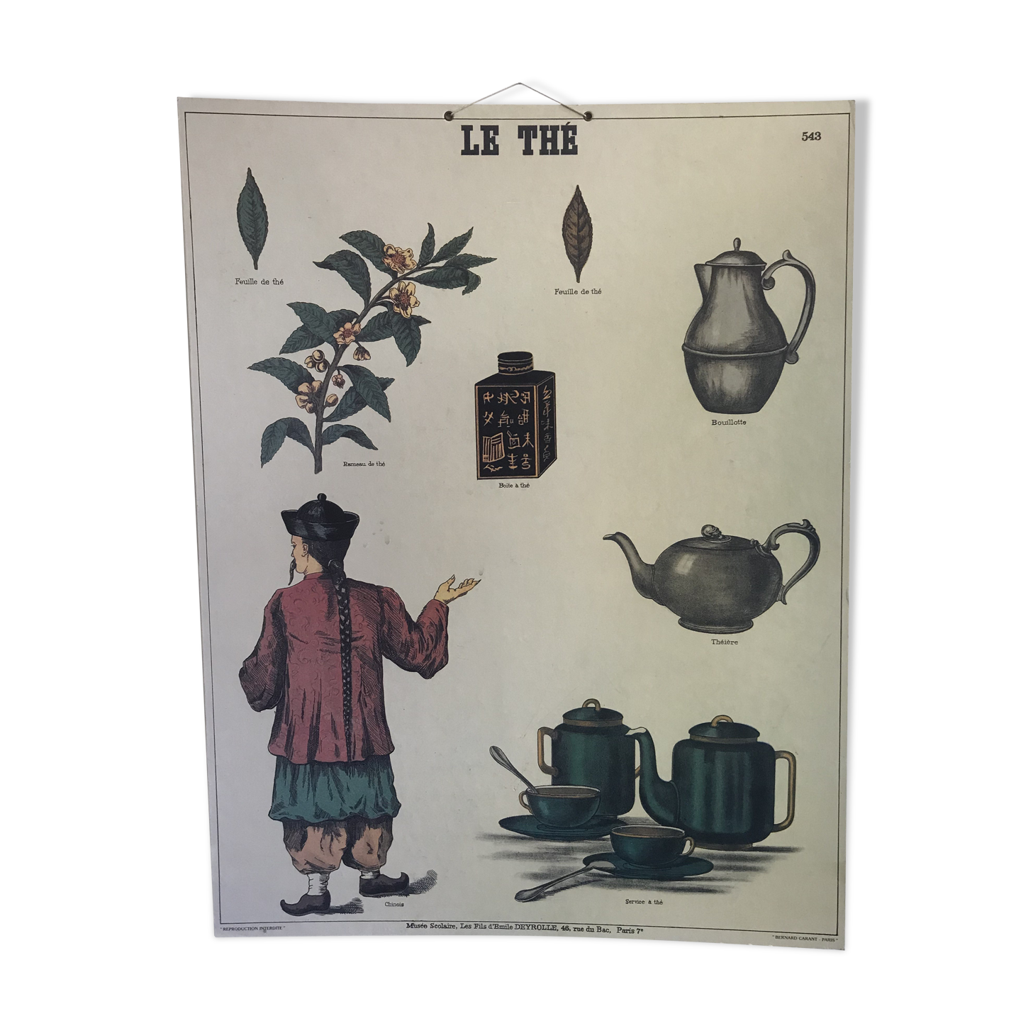 Cardboard poster "tea"