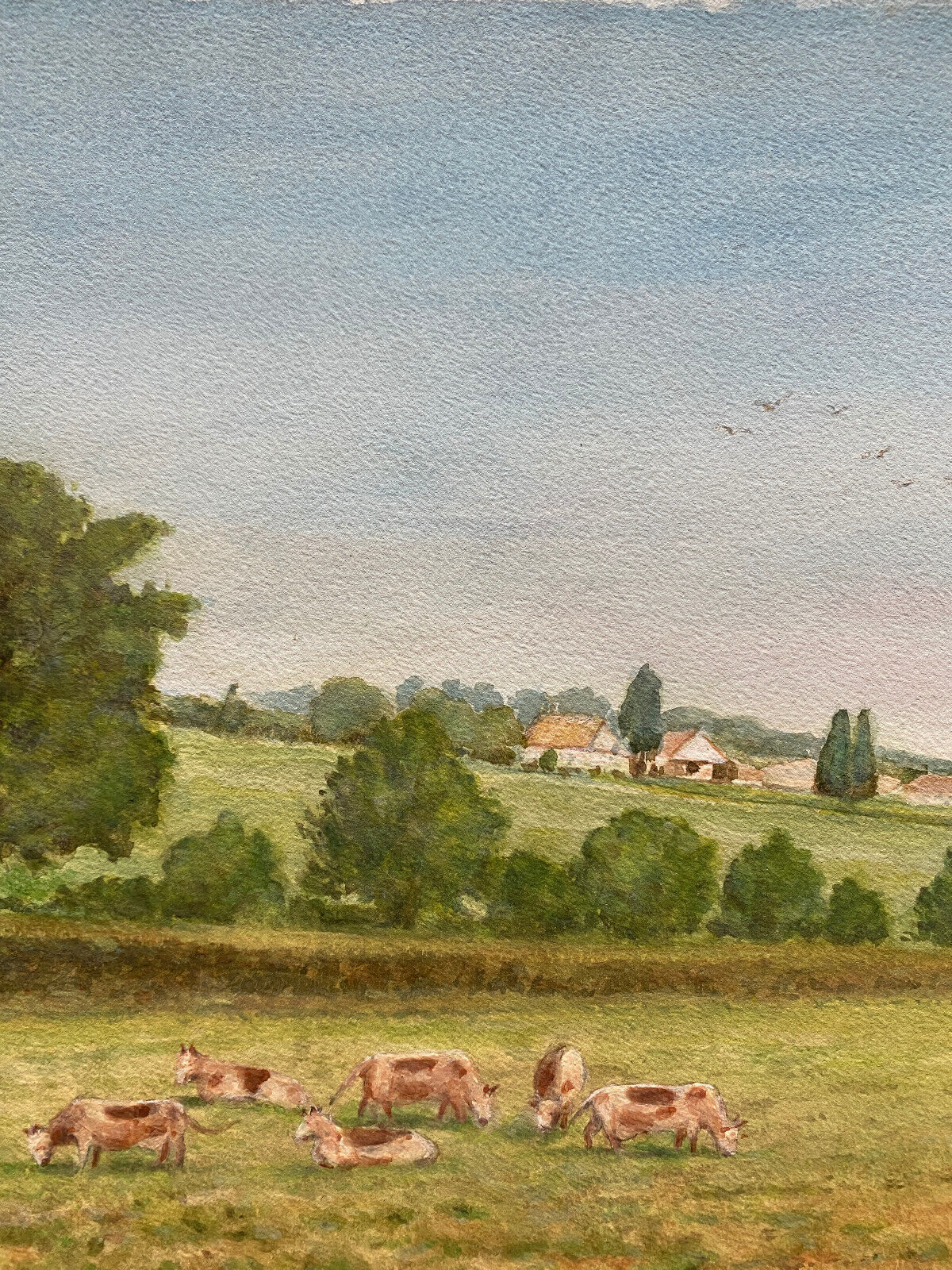 Watercolor painting "Countryside landscape with village and pasture" signed Pickop