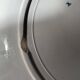 Flat plates and platter terre de fer sarreguemines uc flore model