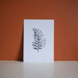 “La rameau” screen print in limited edition