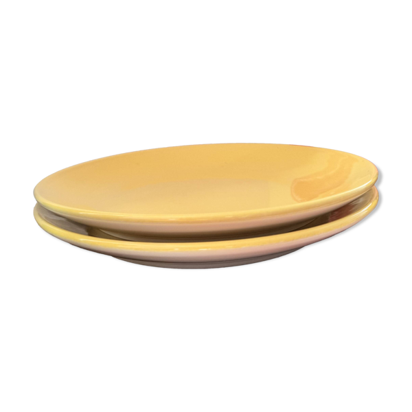 Lot de 2 assiettes à dessert jaunes