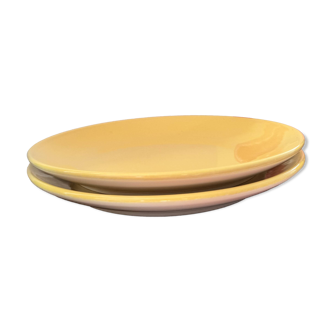 Lot de 2 assiettes à dessert jaunes