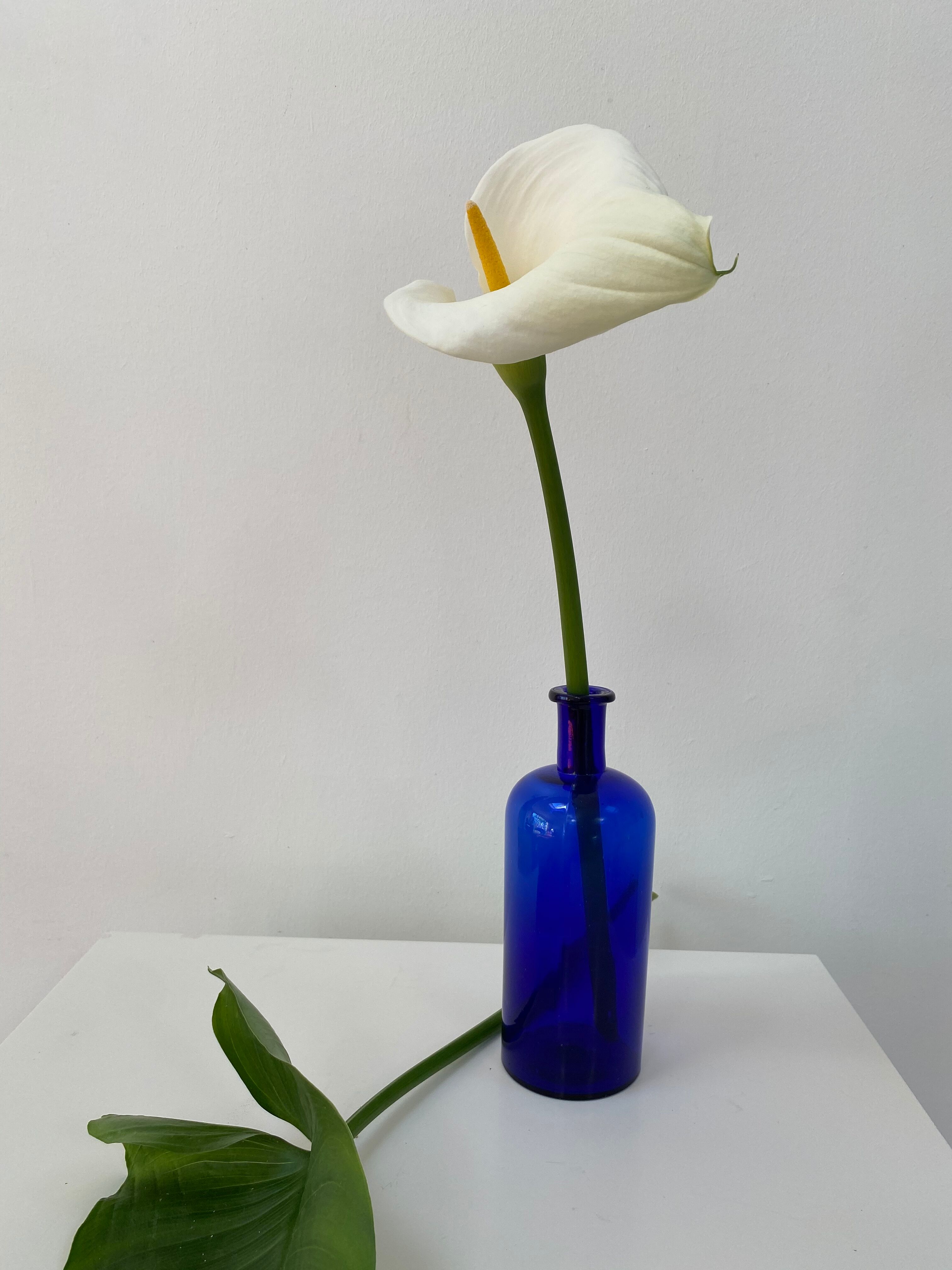 Cobalt blue glass pharmacy bottle