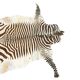Tapis en peau de zèbre vintage – Peau d'animal africaine authentique – Décoration intérieure