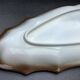 Salins earthenware fish dish