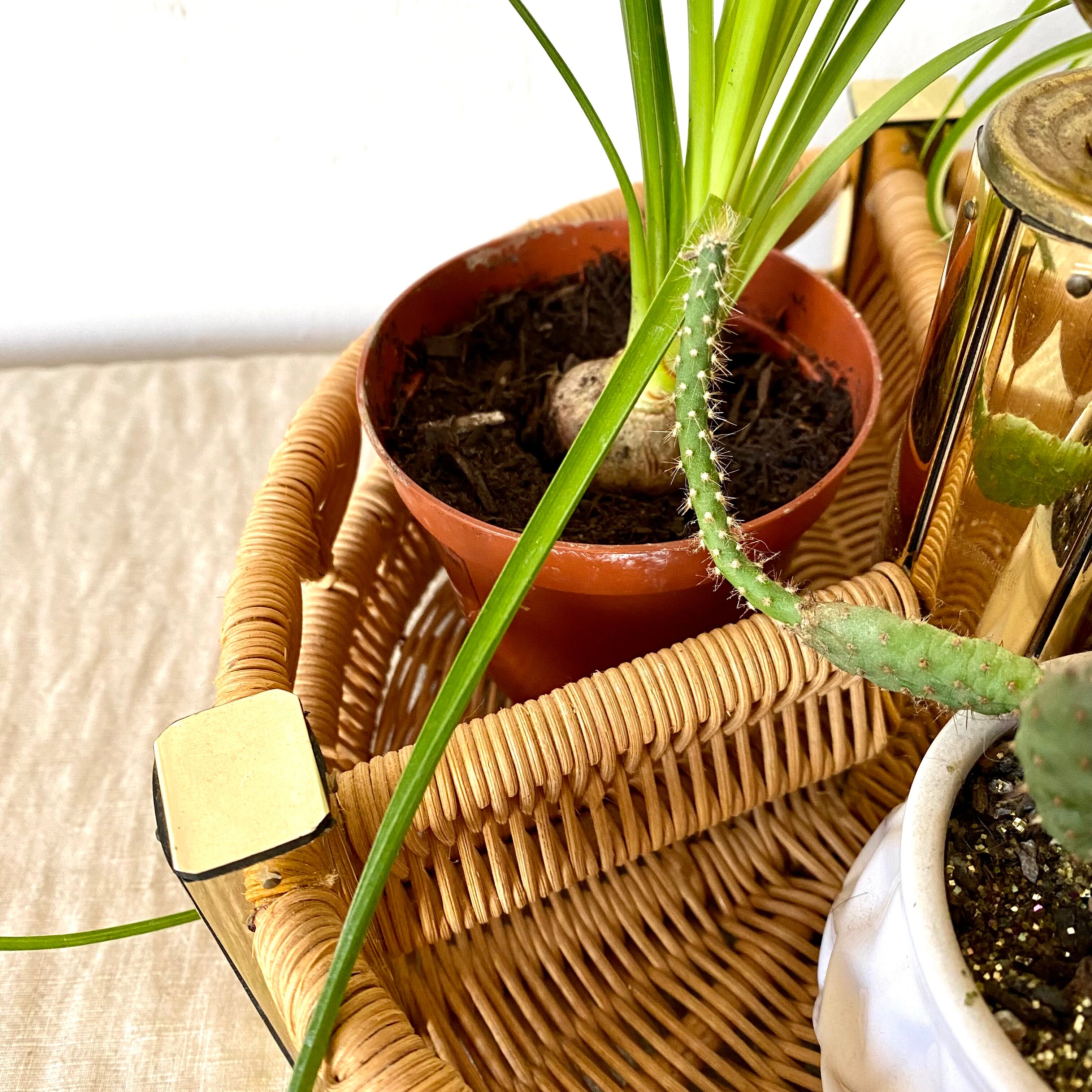 Porte bouteilles vintage , porte plantes en rotin tressé