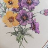 Old watercolor frame 1950
