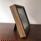 Taxidermy butterfly frame Morpho Didius 25cm x 25cm - walnut frame