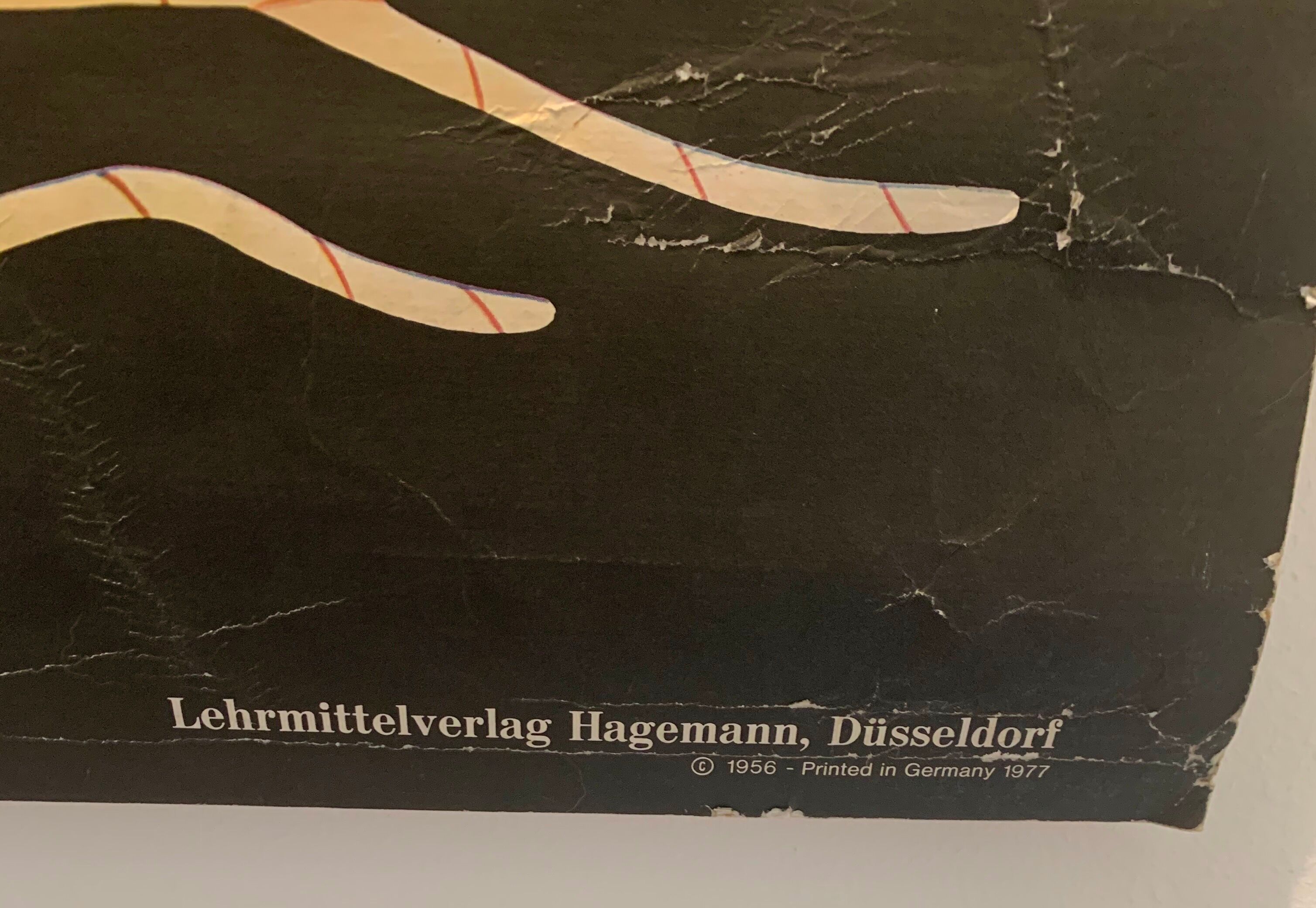 Vintage school teaching chart