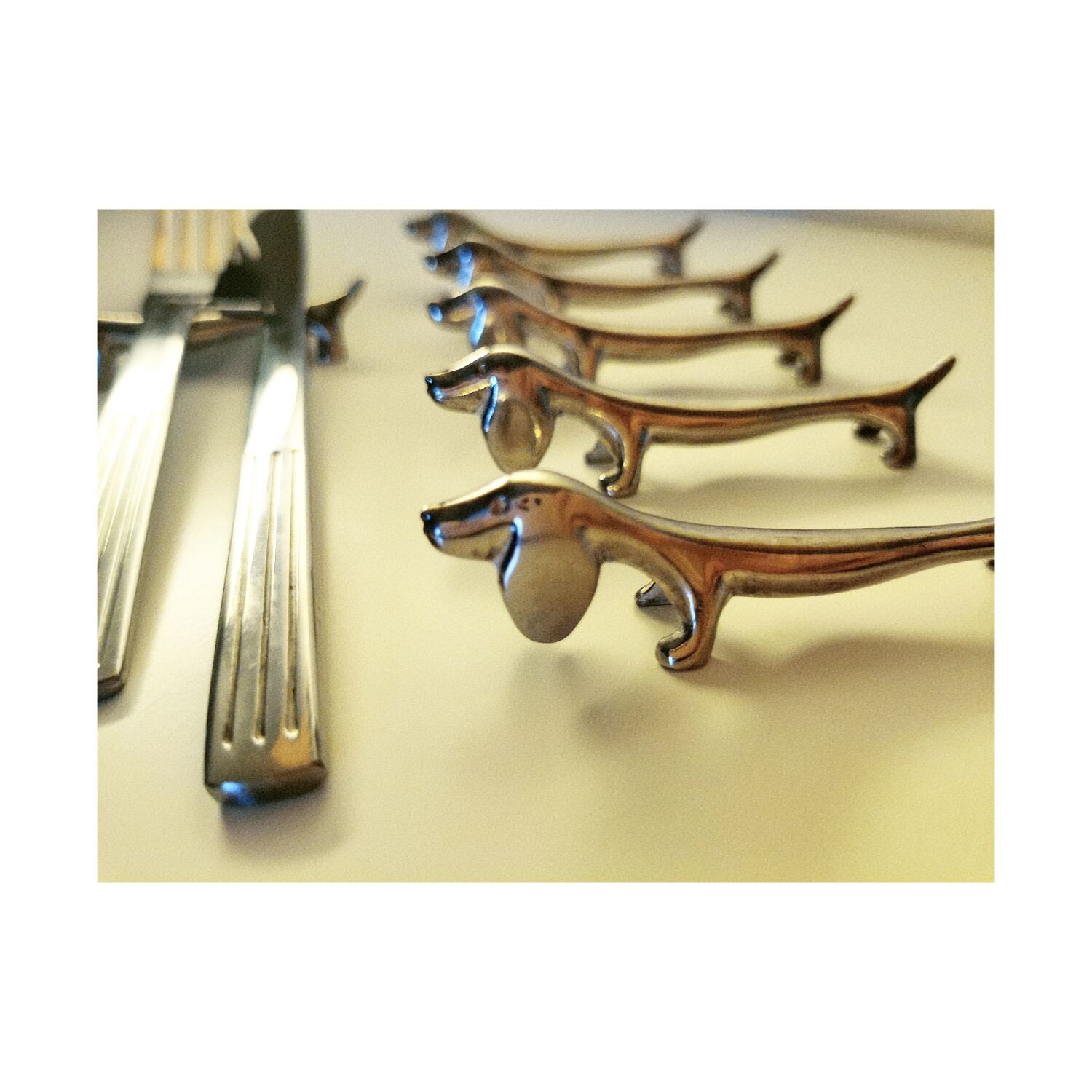 Dachshund covered doors