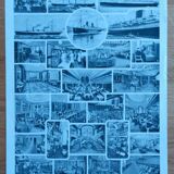 Plate entomology lithograph butterflies Larousse encyclopedia 20th century