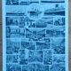 Plate entomology lithograph butterflies Larousse encyclopedia 20th century
