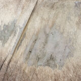 LC4 pony skin chaise longue Serial number 396 by Le Corbusier for Cassina, 1960