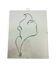 Illustration of a woman's profile portrait