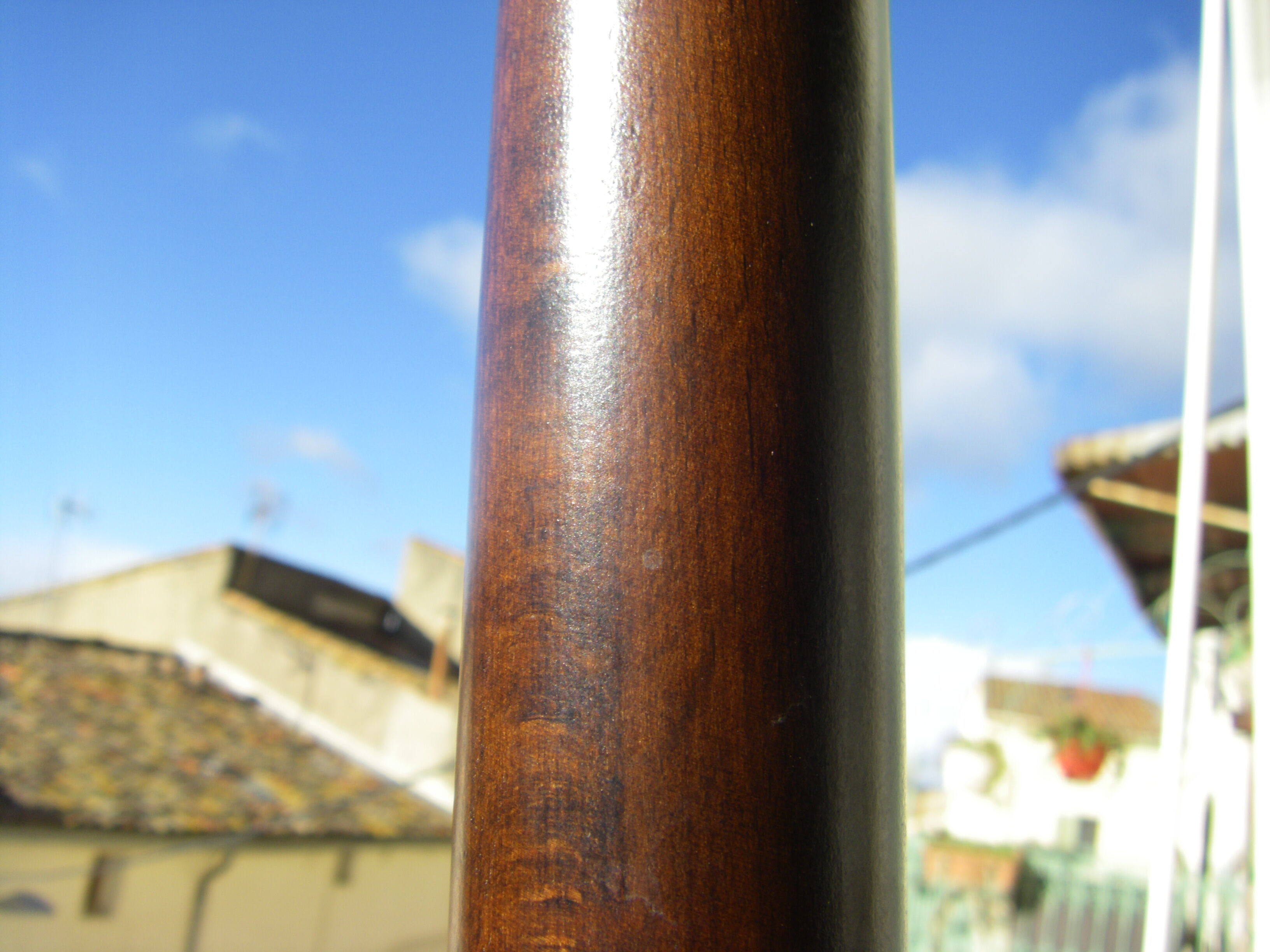 Baumann parrot coat rack