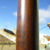 Baumann parrot coat rack