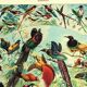 Old lithograph 1928 A. Millot - Birds 2, ornithology, birds