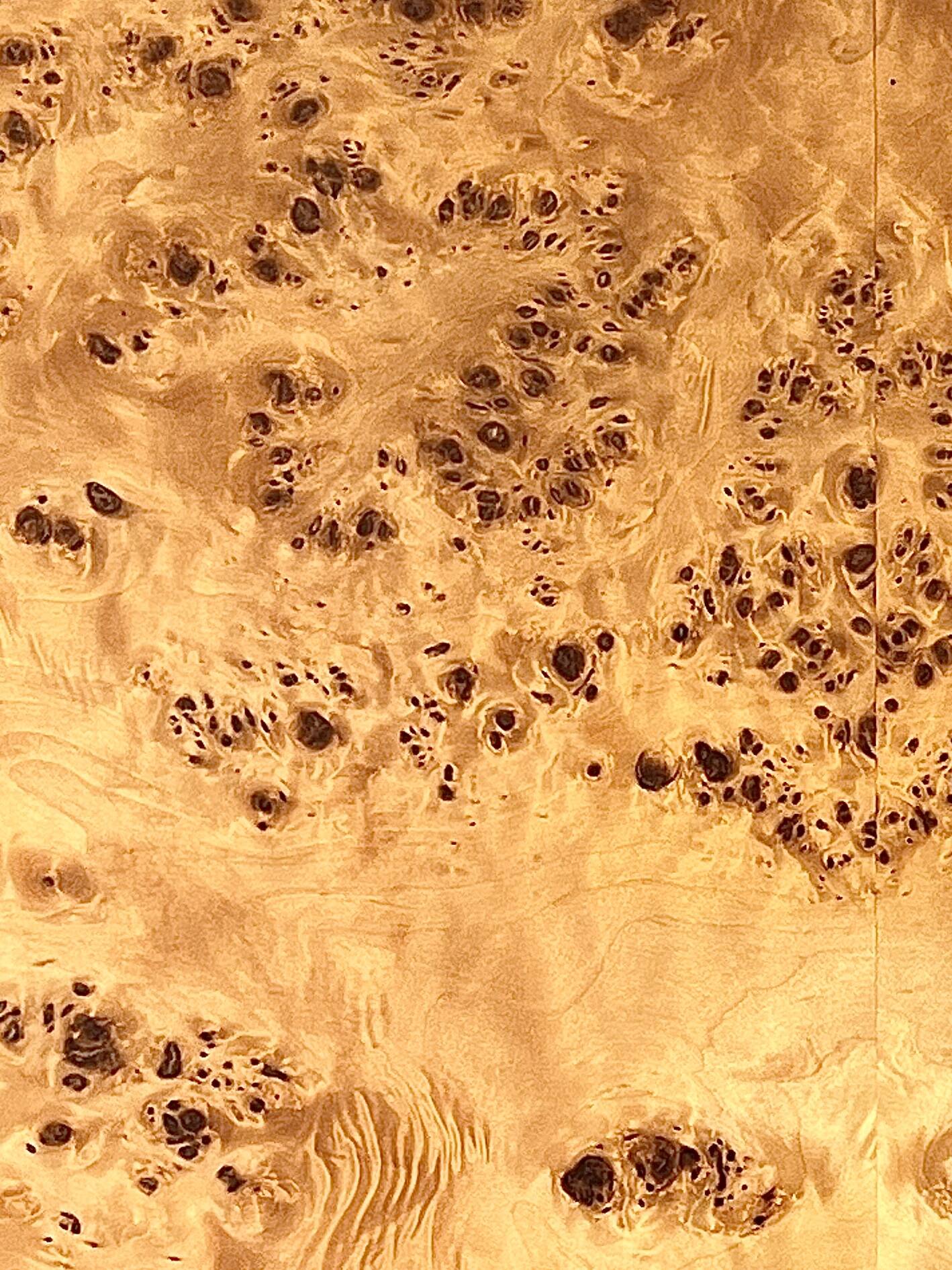 Square designer coffee table in elm burl and chrome, JC Mahey 1970