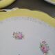 Soup tureen and 3 dishes Digoin & Sarreguemines model Graziella - Ref 921