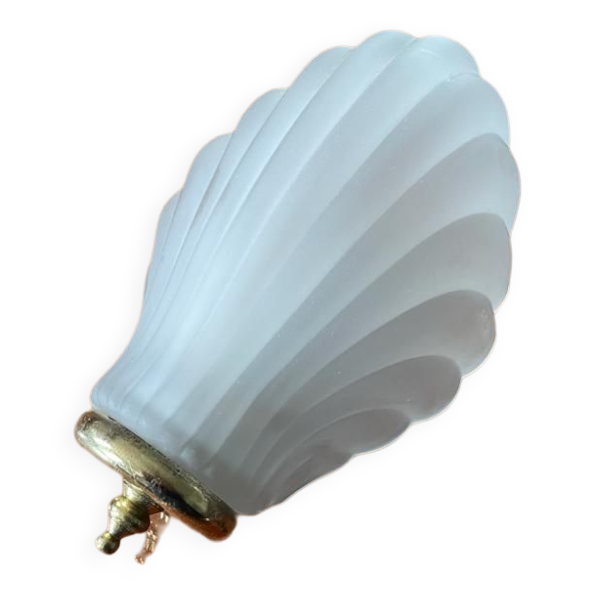 Shell wall lamp