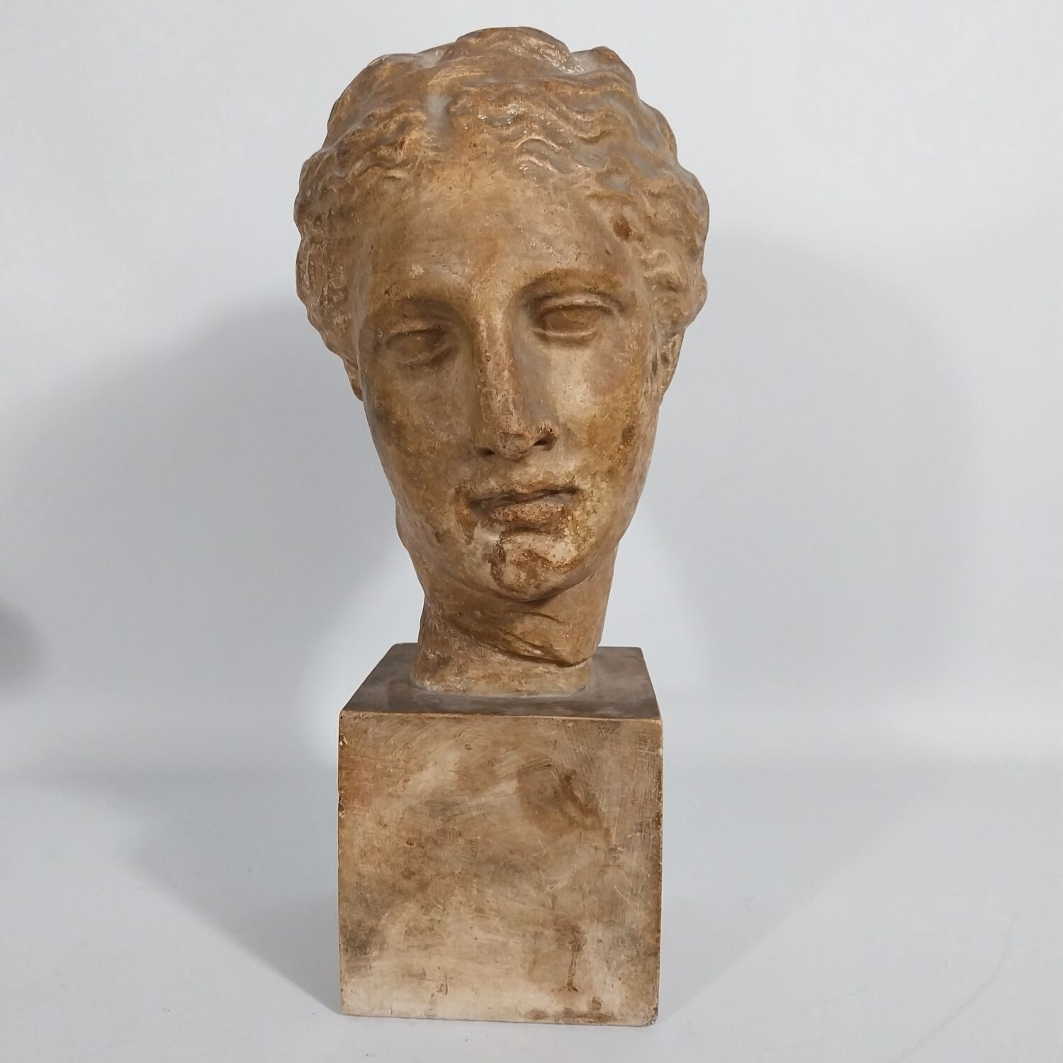 Plaster bust