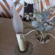 Polychrome metal flower chandelier