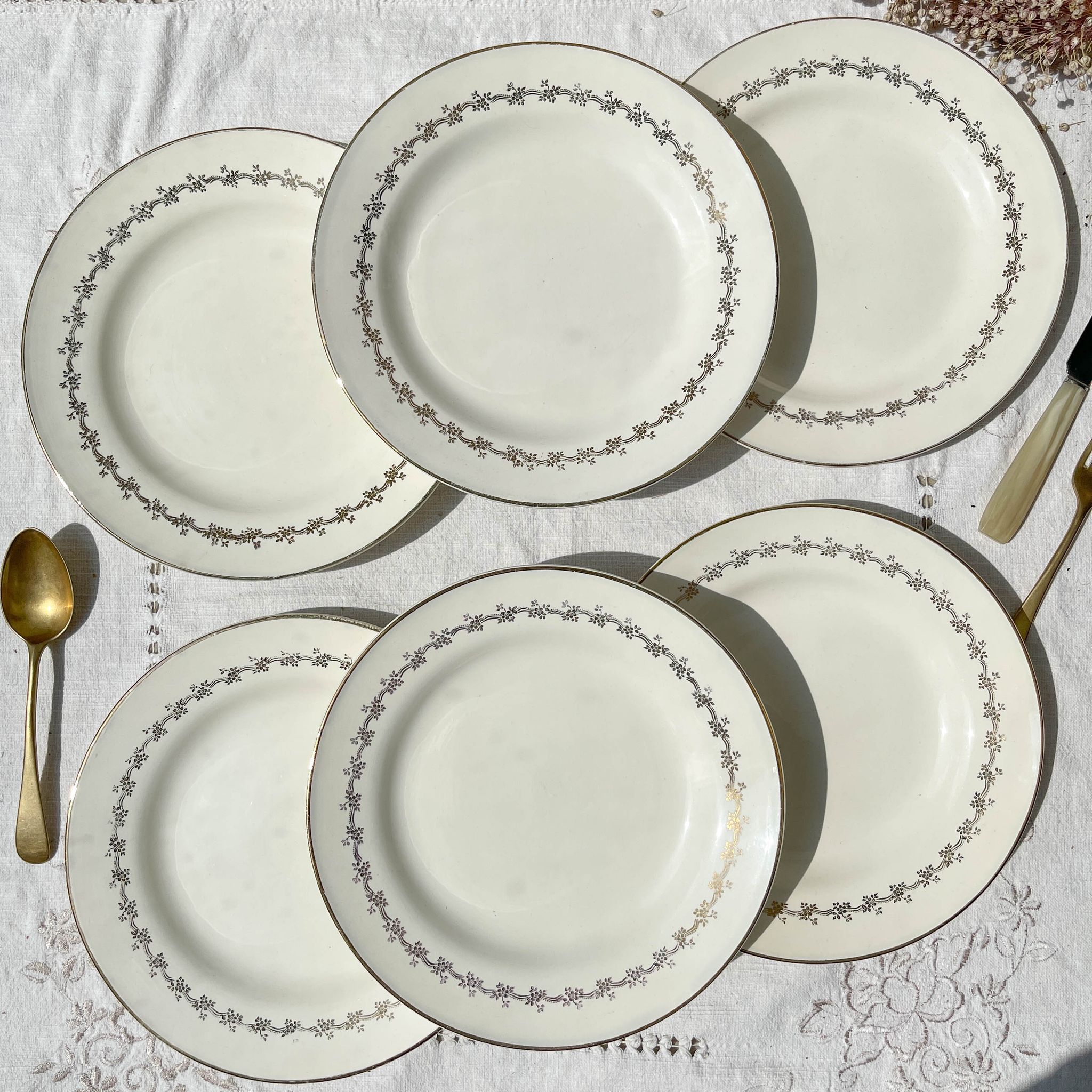 6 opaque porcelain dinner plates, Digoin model "Suzy"
