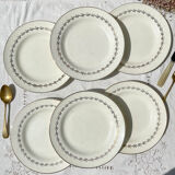 6 opaque porcelain dinner plates, Digoin model "Suzy"