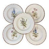 Set of 5 botanical deep plates, ADP Haute Provence