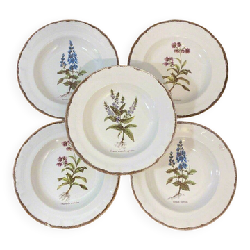 Set of 5 botanical deep plates, ADP Haute Provence