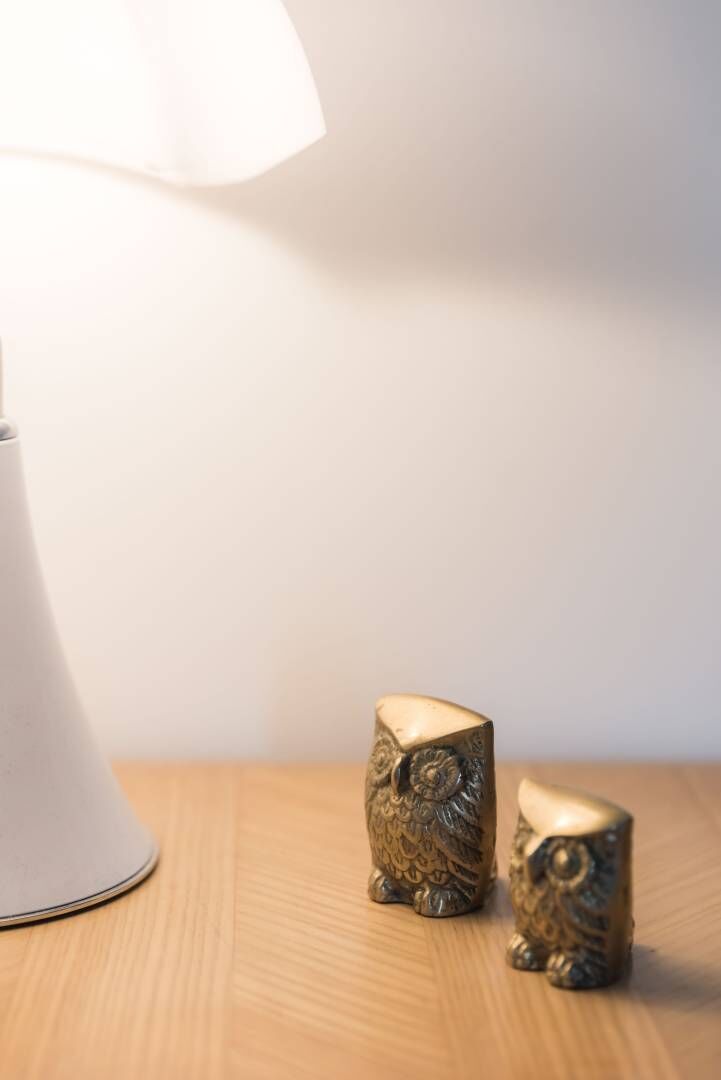 Owl brass