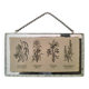 llustration ancienne "Herbier" insérée sous miroir