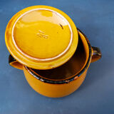 Yellow Ceramic Pot