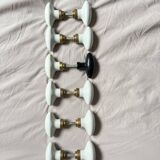 Porcelain and brass door knob
