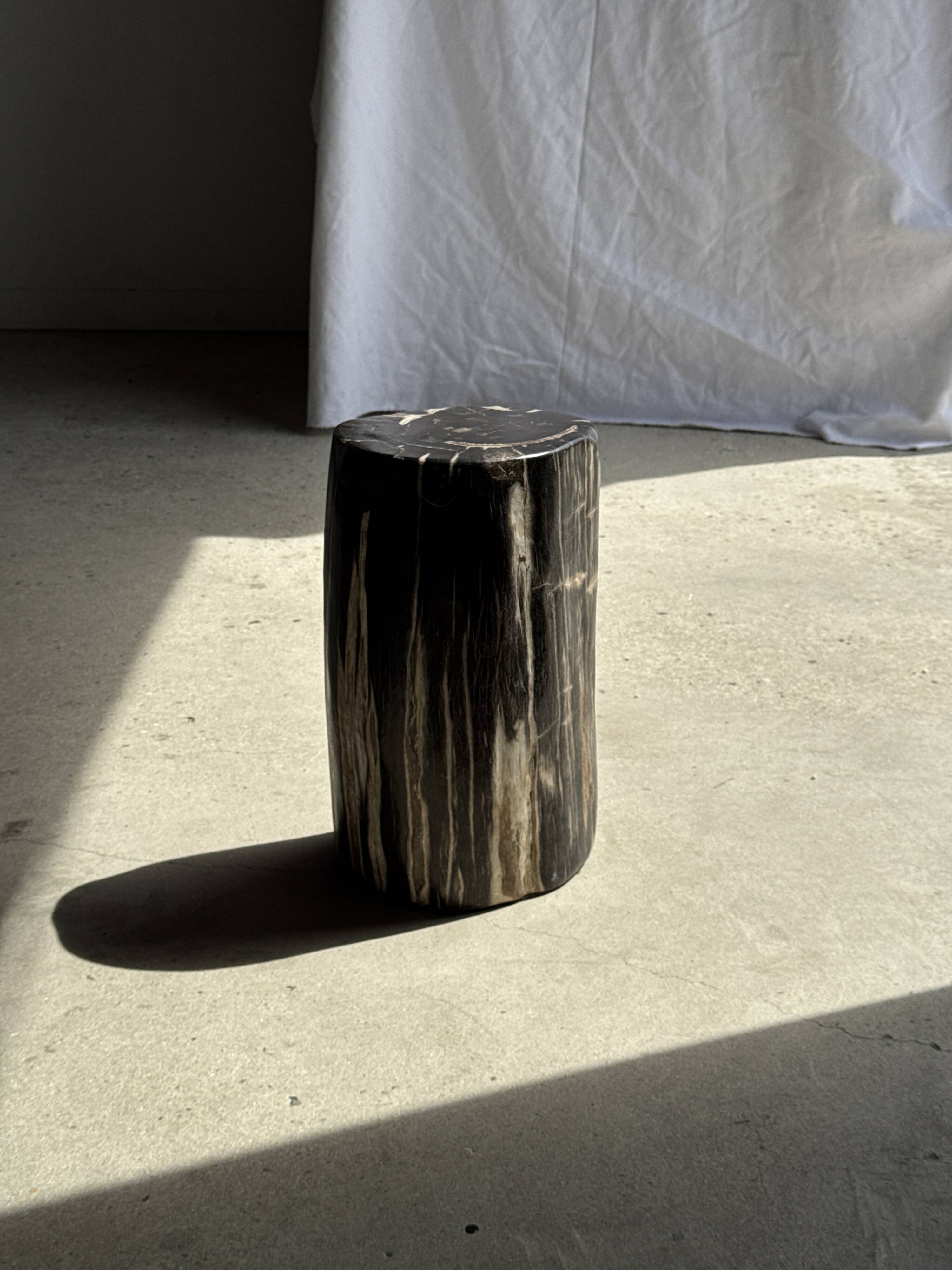Table d'appoint en bois pétrifié noir
