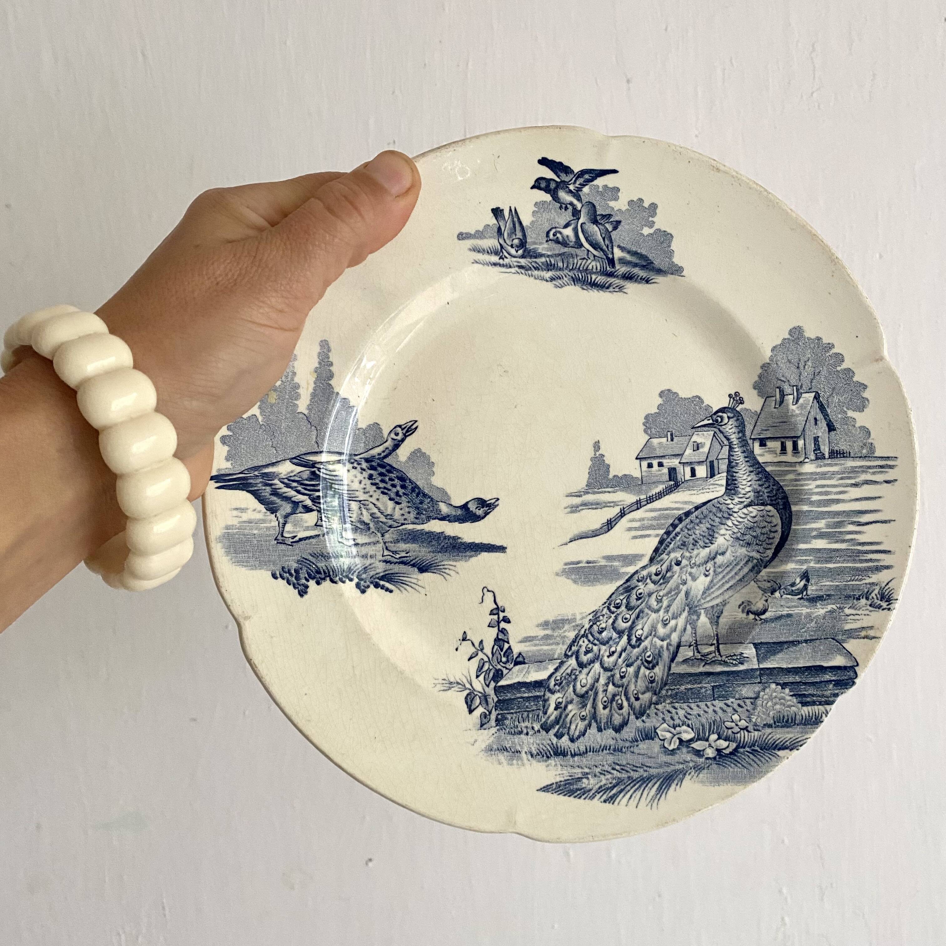 Assiette terre de fer "Rustic" paon