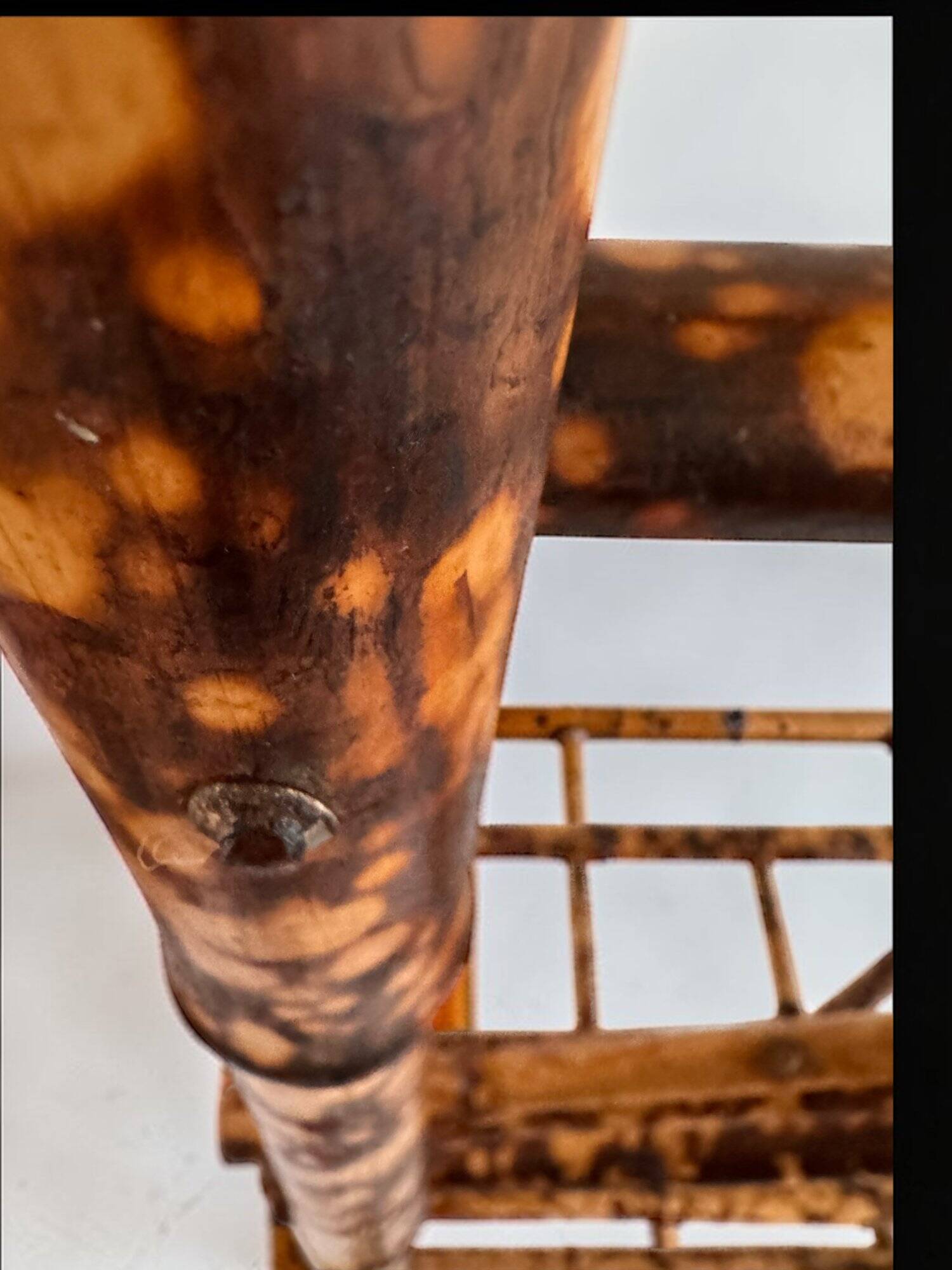 Antique bamboo wardrobe with mirror — exotic style, late 19th century