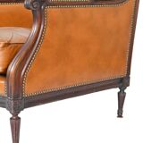 Pair of large armchairs in Louis XVI style