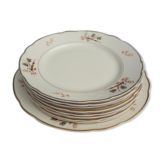 Set 8 plates and dish Villeroy & Boch Mettlach tulips 1940