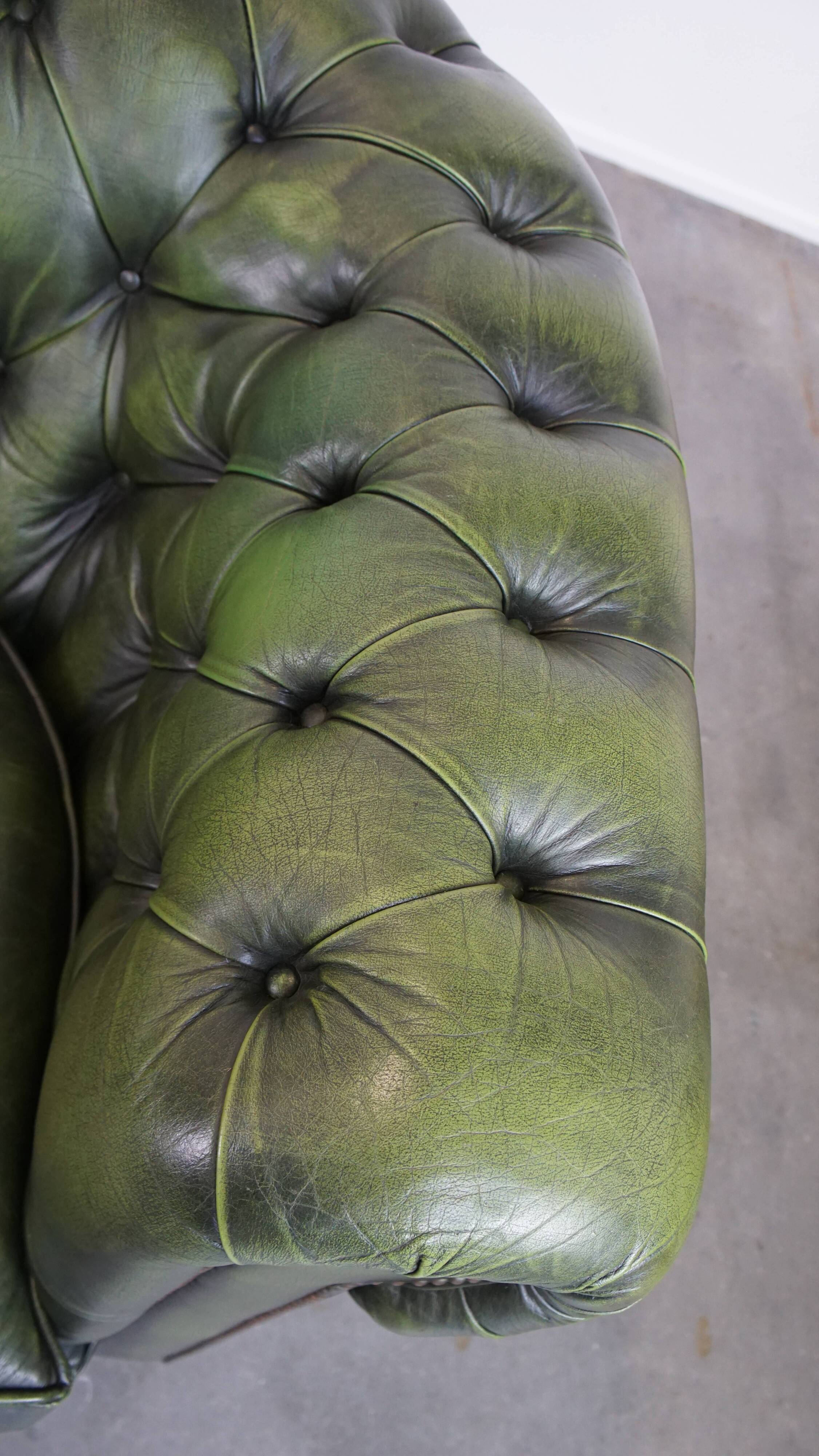 English Chesterfield 2-seater sofa in green cowhide leather