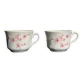 Floral decorative tea cups
