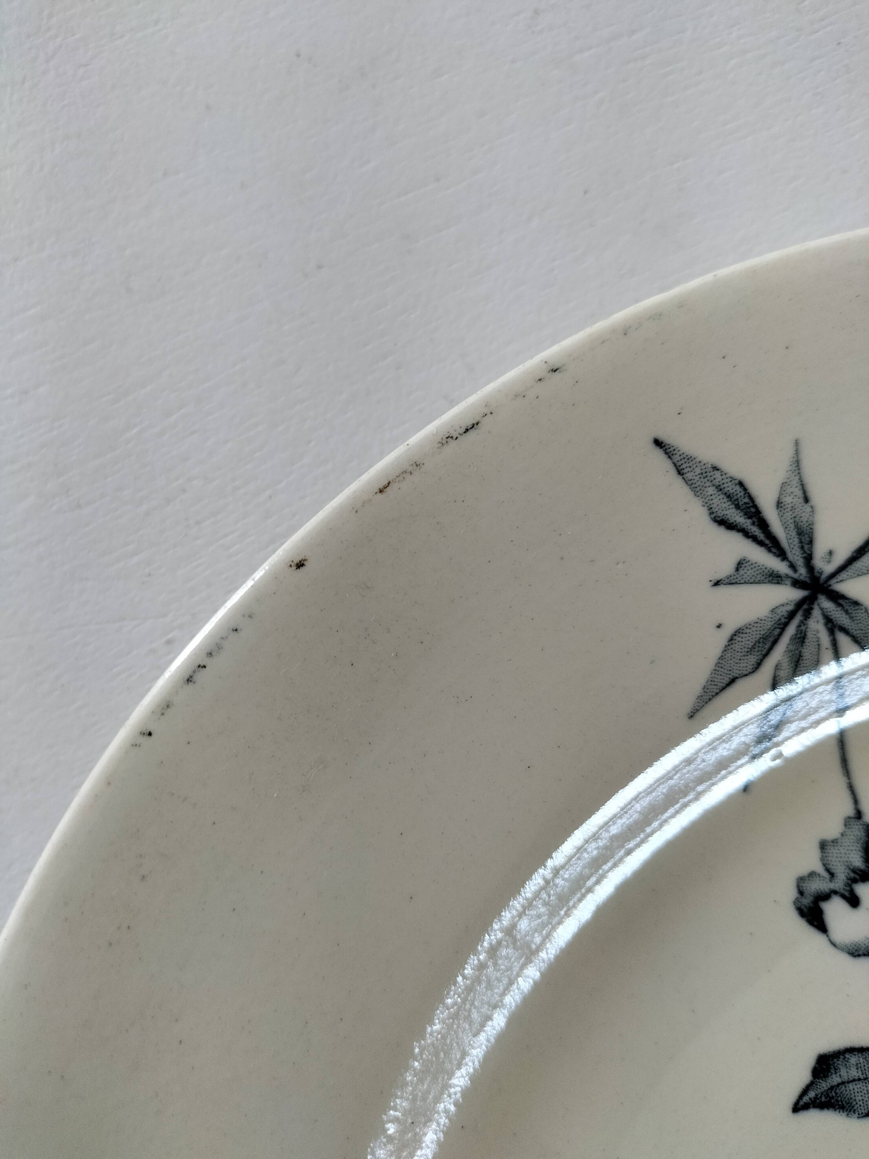 Antique plate, “Azaléa” model – KG Lunéville (circa 1930)
